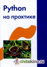 Python на практике: Создание качественных программ с использованием параллелизма, библиотек и паттернов. Руководство