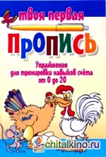 Упражнения для тренировки навыков счета от 0 до 20