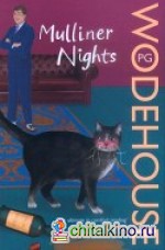 Mulliner Nights