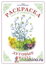 Раскраска: Луговые цветы