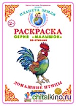 Раскраска для самых маленьких: Домашние птицы