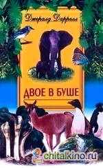 Двое в буше