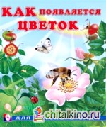 Как появляется цветок