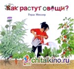 Как растут овощи?