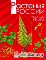 Растения России: Красная книга