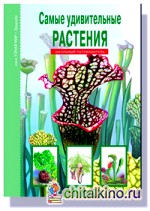 Самые удивительные растения: Школьный путеводитель