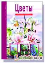 Цветы: Школьный путеводитель