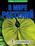 В мире растений