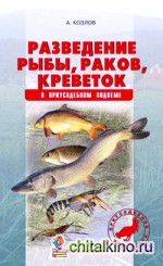 Разведение рыбы, раков, креветок в приусадебном водоеме
