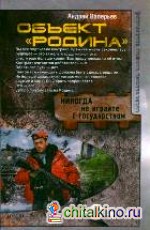 Объект «Родина»