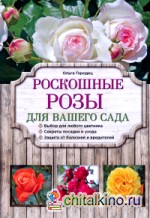 Роскошные розы для вашего сада