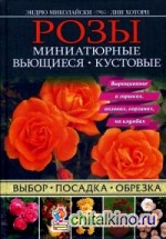 Розы: Миниатюрные. Вьющиеся. Кустовые
