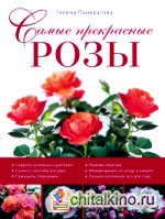 Самые прекрасные розы