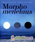 Morpho menelaus