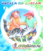 Читаем по слогам: Васька