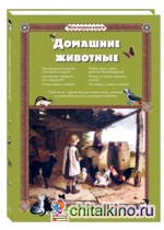 Домашние животные