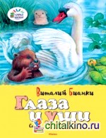 Глаза и уши