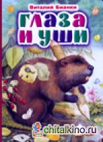 Глаза и уши