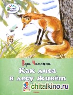 Как лиса в лесу живёт