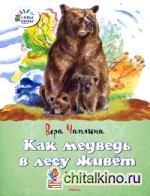Как медведь в лесу живёт