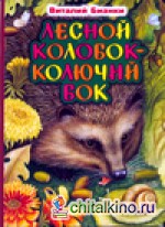 Лесной колобок — колючий бок