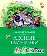 Лесные тайнички