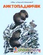 Листопадничек