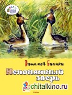 Непонятный зверь