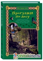 Прогулки по лесу