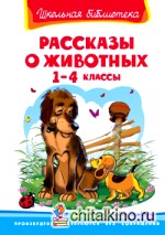 Рассказы о животных: 1-4 классы