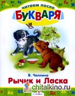 Рычик и Ласка: Упрямый котенок