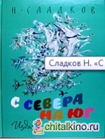 С севера на юг