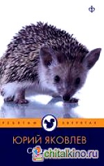 Серая шкурка