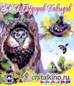 Старый филин