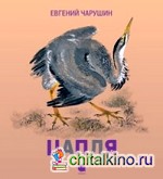 Цапля