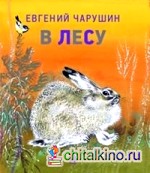 В лесу