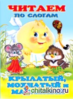 Крылатый, мохнатый и масленый