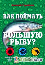 Как поймать большую рыбу?