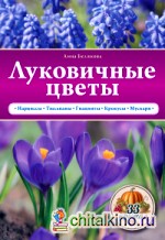 Луковичные цветы