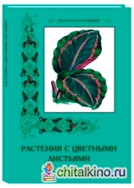 Растения с цветными листьями
