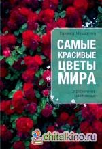 Самые красивые цветы мира