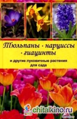 Тюльпаны, нарциссы, гиацинты и другие луковичные растения для сада