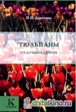 Тюльпаны: 175 лучших сортов