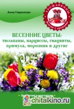 Весенние цветы: тюльпаны, нарциссы, гиацинты, примула, морозник и другие