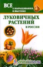 Все о выращивании и выгонке луковичных растений в России