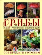 Грибы: Иллюстрированная энциклопедия. Собираем и готовим