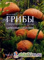 Грибы Европейской части России: Справочное пособие