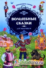 Отважному герою: Волшебные сказки для мальчиков