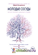 Молодые сосуды: Как восстановить здоровье сосудов
