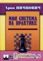 Моя система на практике